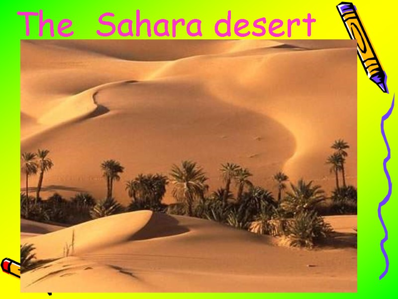 The  Sahara desert